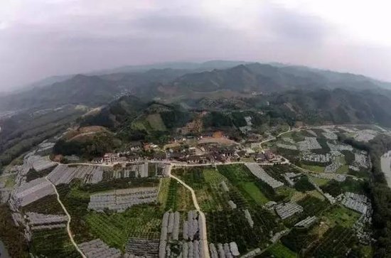 广西昭平最新资讯，高科技产品引领未来，提升生活品质
