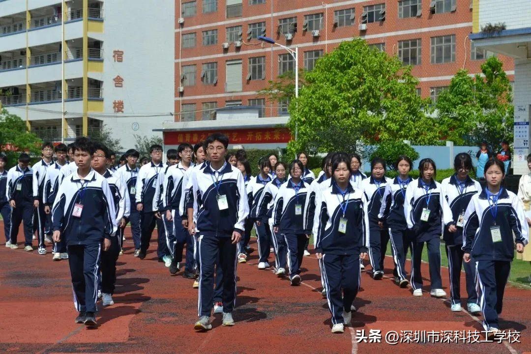 深宝安股票行情解析，前景分析与投资洞察