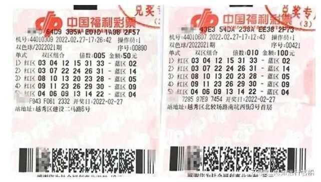 双色球最新探索，自然美景的冒险之旅